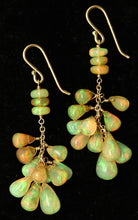Load image into Gallery viewer, Earrings - Opal