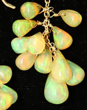 Load image into Gallery viewer, Earrings - Opal